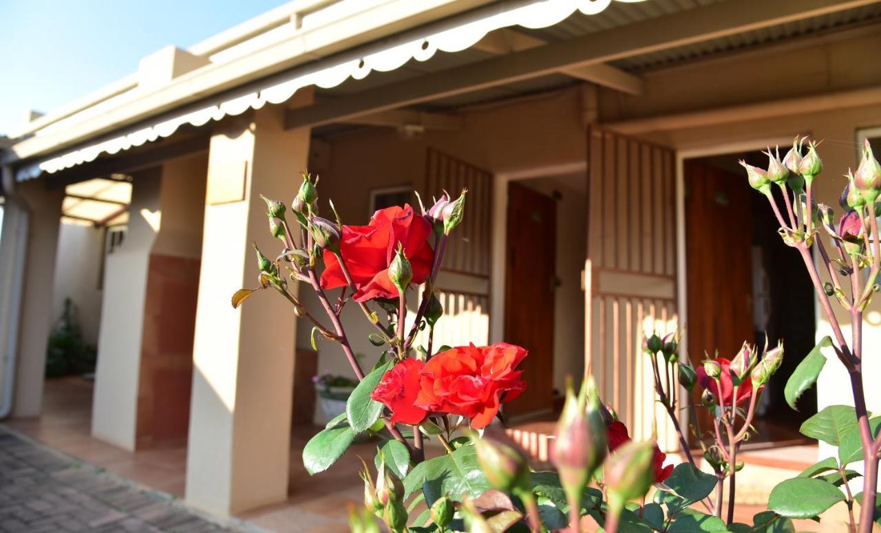 Villa Moria Peace Cottage Dullstroom Εξωτερικό φωτογραφία